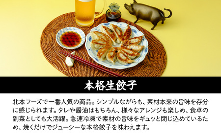 餃子 生餃子 120個 | ぎょうざ 冷凍 北本フーズ