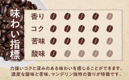 マンデリンコーヒー(豆)　リントン　200g×2 / 珈琲 コーヒー マンデリン / Coffee SAKURA[BBAB138]