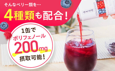 健康道場 4つのベリーの恵み 160g×30本[AOAD052]健康飲料