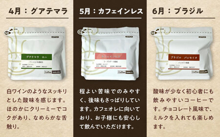 【全12回定期便】世界を旅するコーヒー(豆) / 珈琲 コーヒー / Coffee SAKURA[BBAB150]