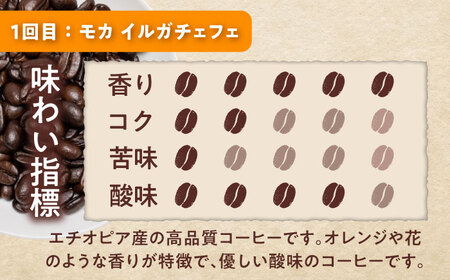 【全3回定期便】世界のコーヒー豆 おためし便(粉) / 珈琲 コーヒー / Coffee SAKURA[BBAB155]