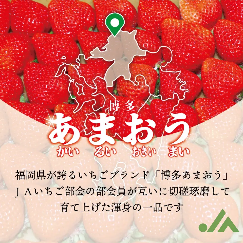 【3回定期便】【2027年2月上旬~4月下旬配送】博多あまおう 250g~270g×4パック[M870-1]