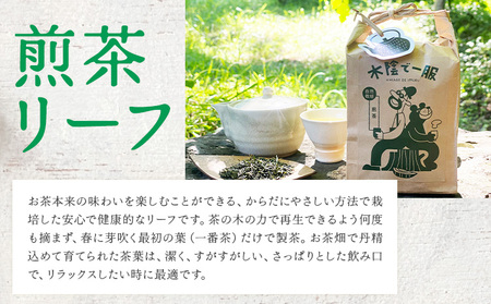 茶 自然栽培茶 煎茶リーフ ほうじ茶リーフ の HARIO （ハリオ） フィルターインボトル の セット 計4袋 ＋ 1本 合同会社原田山業《90日以内に出荷予定(土日祝を除く)》 熊本県 菊池市 煎茶 ほうじ茶 茶葉 ボトル付き 自然栽培 水出し フィルター ボトル