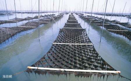 海王 一番摘み焼海苔 5枚入×4袋 計20枚  焼き海苔 板海苔 板のり のり 海苔 初摘み 香り 有明のり 有明海苔