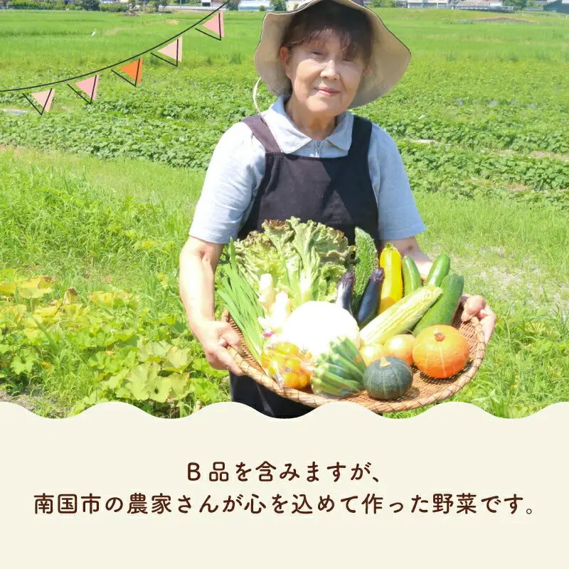 【6回定期便 野菜】南国土佐の季節の野菜セット