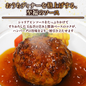 京都府産豚肉100%ハンバーグ 140g×6個