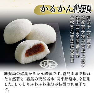 A-196-A 鹿児島の銘菓かるかん饅頭(餡入り) 計10個【徳重製菓とらや】霧島市 国産 かるかん 軽羹 饅頭 まんじゅう 銘菓 郷土菓子 生菓子 お菓子 和菓子 スイーツ