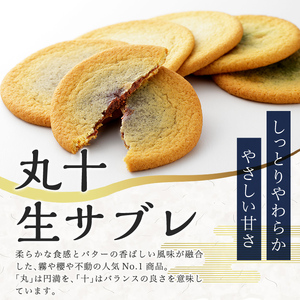 C-086-C 【3回定期便】丸十生サブレ詰め合わせ(12枚入×2箱×3回 計72枚)【徳重製菓とらや】霧島市 生サブレ サブレ しっとり なめらか マイルド お菓子 焼菓子 おやつ お土産 贈り物 手土産 チョコレート ホワイトチョコレート 霧島茶チョコレート