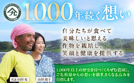 王様 トマト 贅沢 セット M001-003 野菜 三浦野菜