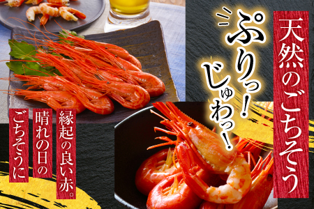 【北海道根室産】北海しまえび250g×3P(計33～48尾)[8月上旬以降発送] F-20012
