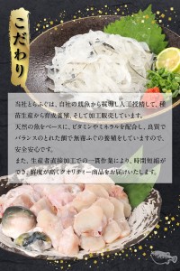 S033-001_とらふぐ宅配セット 4～5人前(刺し身・ちり・本皮・焼きヒレ) / ふぐ フグ 河豚 とらふぐ
