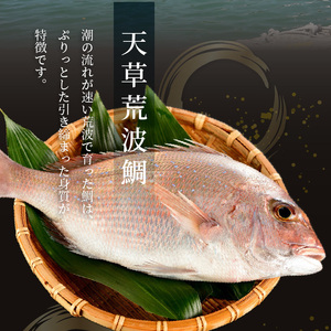 S006-001_漁師の沖めし真鯛(70g)×8袋 /  真鯛 漁師の沖めし 70g 8袋 こだわり 新鮮 天草荒波鯛 漁師めし 小分け 海鮮丼 鯛茶漬け ゴマ風味 プリプリ 養殖 ご飯のお供 冷凍 海鮮 海の幸 魚介類 丸木水産漁業 グルメ お取り寄せグルメ 熊本県 天草市 送料無料