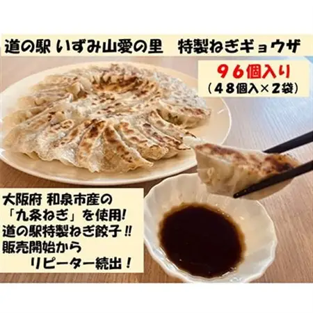 大阪府和泉市産の九条ネギを使用した冷凍餃子　48個入×2パック(計96個)　道の駅で大好評!【配送不可地域：離島】【1182130】