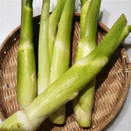 自然のまま育った野菜7種類と平飼有精卵のセット【配送不可地域：離島】【1407484】