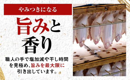  献上鰈 上品な味わい 若狭かれい一夜干し 約100g×5尾セット / 干物 魚介 冷凍 ギフト 小浜市 / まるほ商店 【配送不可地域：北海道・沖縄・離島】[BFCS059]
