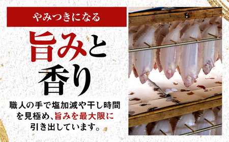  献上鰈 上品な味わい 若狭かれい一夜干し 約100g×10尾セット / 干物 魚介 冷凍 ギフト 小浜市 / まるほ商店 【配送不可地域：北海道・沖縄・離島】[BFCS060]