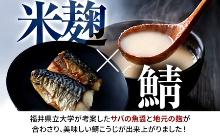 鯖こうじ 100g×2個 福井県小浜発 魚醤仕込みの醤油麹 国産コシヒカリ米麹使用 / ご飯のお供 万能調味料 発酵食品 小浜市 / タカノ[BFEF010]
