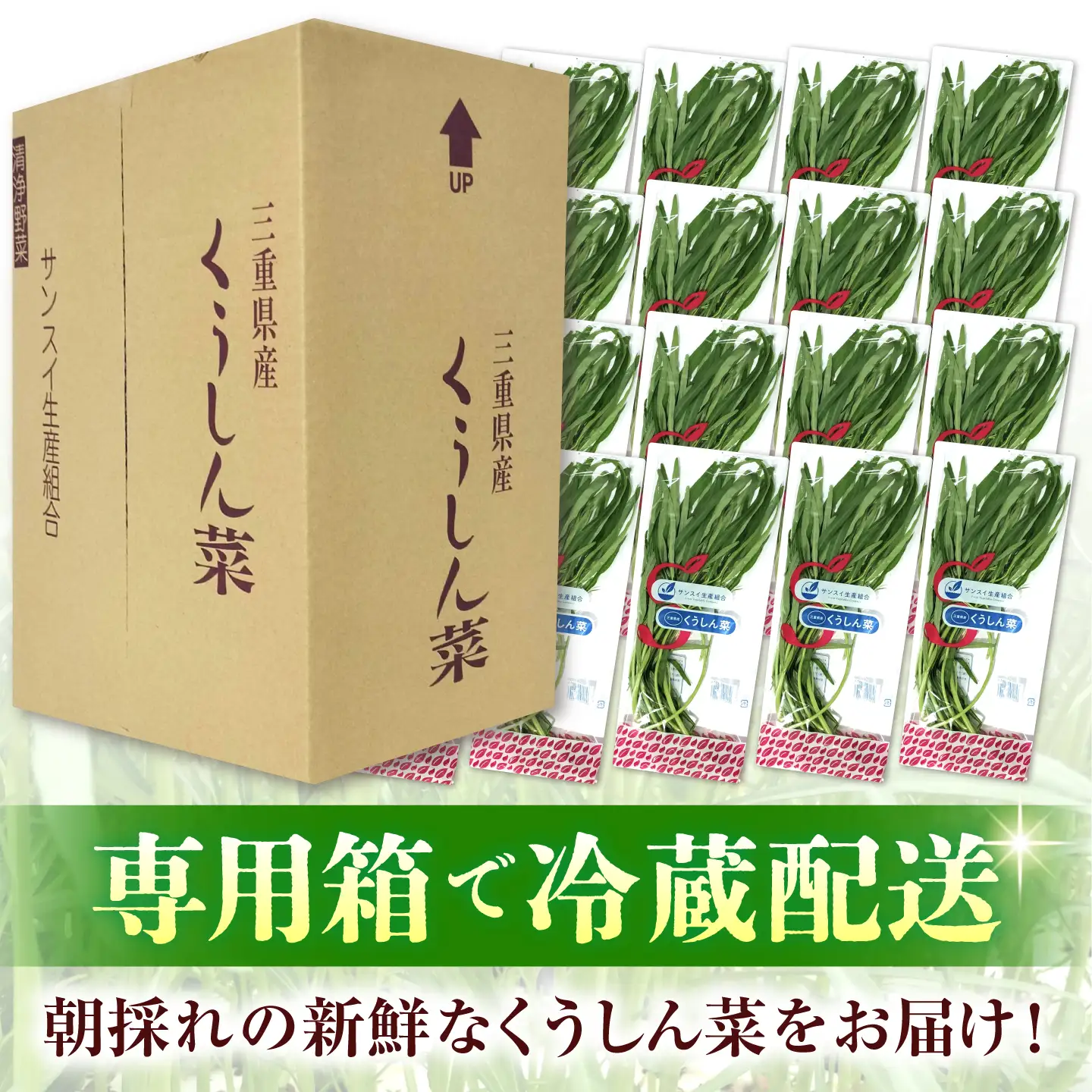 【3回定期便】新鮮朝採れ くうしん菜 計30袋 / 葉物野菜 / 亀山市 / グリーンハウス吉田[AMCD003]