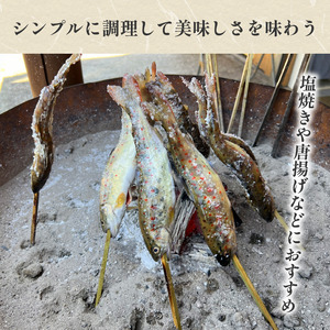 川魚 あめご 天魚 4尾 400g前後 あまご【 川魚 】