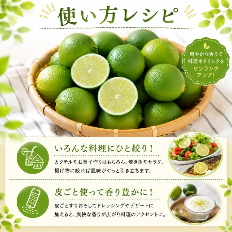 【2026年9月中旬頃から順次発送】さわやか果実 ライム 約1.5kg | ライム みかん 柑橘 国産ライム ジュース カクテル スイーツ サラダ 愛媛 松山 北条 果物 フルーツ 産地直送【HMN012】