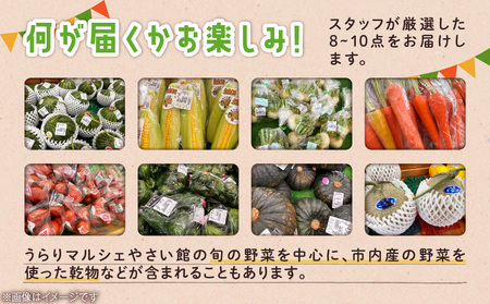 産直センターうらりマルシェ　 旬の三浦産物セット M033-002 野菜 三浦野菜