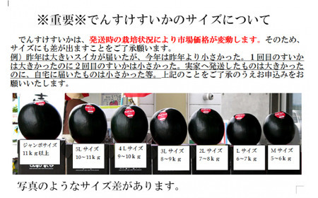 でんすけすいか優品（でんすけピュアゼリー3個とでんすけドロップス1個付き）【A-038】