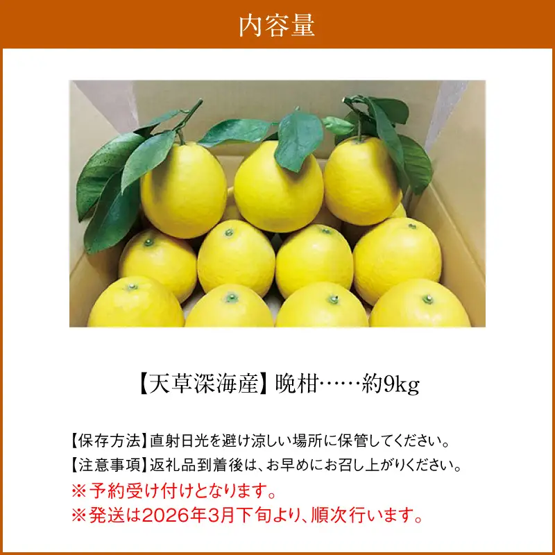 S062-001A_【天草深海産】晩柑 約9㎏【先行受付】 / 晩柑 柑橘 みかん フルーツ