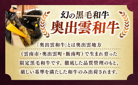 【3回定期便】奥出雲和牛サーロインステーキ600g  [AIBQ020] 黒毛和牛