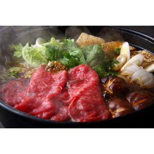 鳥取和牛上ローススライス（すき焼き・しゃぶしゃぶ・鍋用）約500ｇ|ロース