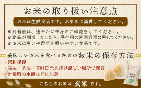 【 令和7年産米】 多良木町産 ヒノヒカリ 玄米 20kg 10月中旬～発送予定 116-0502