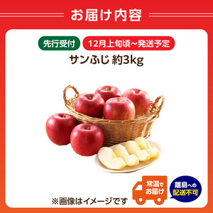《先行受付》サンふじ約3kg 【2026年12月上旬頃～発送予定】【山形りんご・大江町産】 001-104