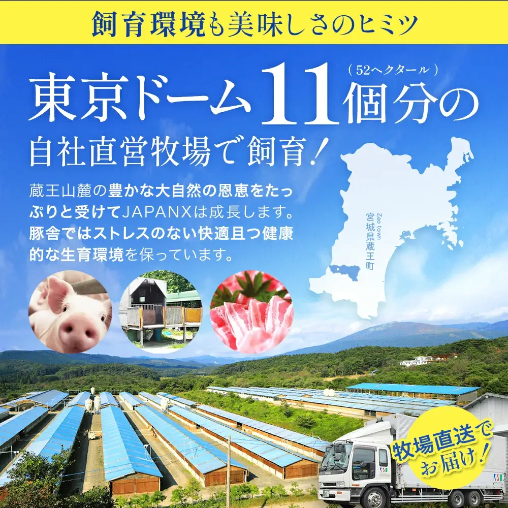 JAPAN X 味付ホルモン 300g×10 計3kg　豚肉 豚 ブランド豚 小分け 豚ホルモン ホルモン ジャパンエックス 蔵王 人気【04301-0882】