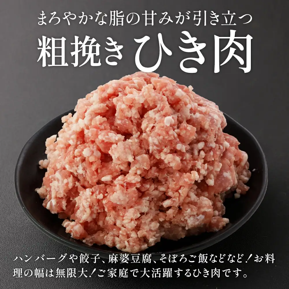 JAPAN X ひき肉  200g×5  計1㎏　豚肉 豚 ブランド豚 小分け 豚ひき肉 挽肉 ひき肉 ジャパンエックス 蔵王 人気【04301-0884】