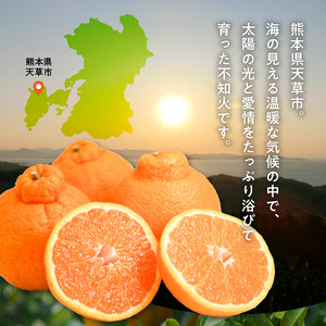 S086-002A_井手尾さん家の濃厚いでぽん 不知火 約5kg 柑橘〈先行予約〉 / 不知火 柑橘 みかん フルーツ