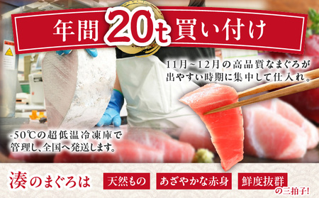 ＜選べる配送月＞【 三崎港 直送 】天然マグロ お刺身 セット （ 中トロ 赤身 ・ 希少部位 ） M005-035 冷凍 マグロ