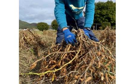 【一年かけて熟成！】川北黒大豆使用の黒豆みそ 500g入×４パック味噌 ミソ 黒大豆 黒豆 丹波 丹波篠山市産 大豆 豆 まめ マメ [BT16]