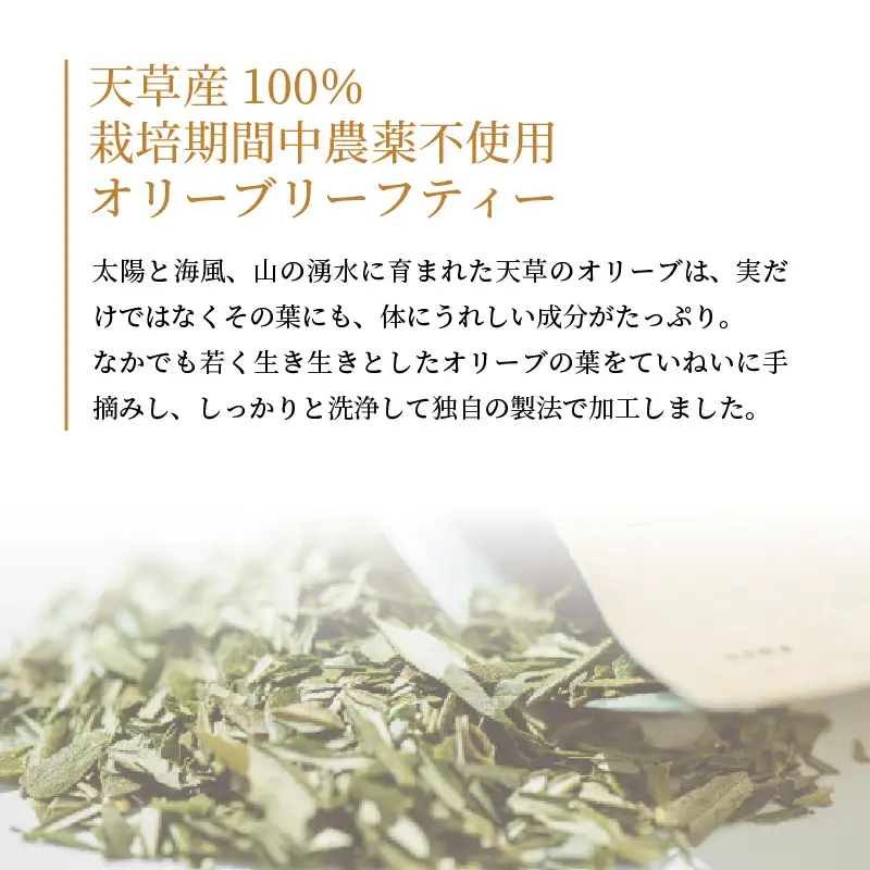 S090-001A_オリーブオイル(105g)オリーブリーフティー (1g×10p)セット / オリーブオイル オリーブ油 オリーブ茶 エクストラバージンオリーブオイル