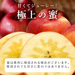 りんご【12月・1月発送】蜜入り 糖度13度以上 おもてなし品  葉とらず サンふじ 約5kg【青森りんご】果物 フルーツ 産地直送 贈り物 年末 年始 挨拶
