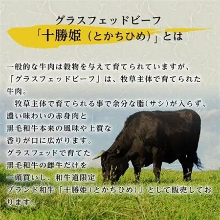 【毎月定期便】和牛道ハンバーグ120g×6食セット 大樹町 国産黒毛和牛 グラスフェッドビーフ全6回【配送不可地域：離島】【4071620】