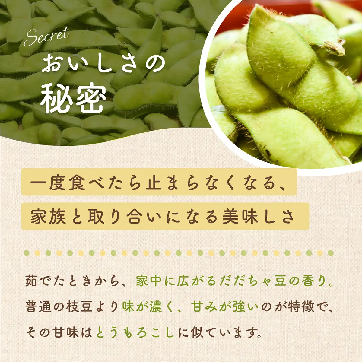【令和8年産先行予約】 だだちゃ豆(早生)　 1.5kg　 (500g×3袋) 　だだちゃ喜左衛門株式会社　