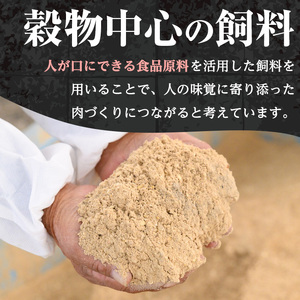 i1151 さくらファーム黒豚小間切れ 1kg(250g×4P) 豚肉 国産 黒豚 小間切れ 鹿児島県産 炒め物 料理 晩御飯 おかず 小分け 【スーパーよしだ】
