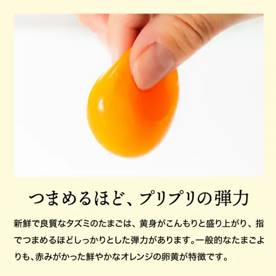 【累計600万個突破！】【TVで紹介されました】タズミの卵Ｍサイズ（20個）005AB02N.／こだわり卵 市川町産 兵庫県産 たまご たまごかけご飯 玉子 生卵 鶏卵 タマゴ 卵焼き TKG