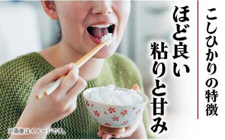 令和7年幸手産 こしひかり【無洗米】4.5㎏×1袋 - コシヒカリ 無洗米 4.5kg 令和7年産 便利 時短 埼玉県 幸手市 幸手市産