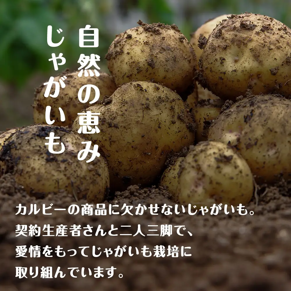 カルビーポテトチップス＜のりしお＞16袋入×1箱《千歳工場製造》