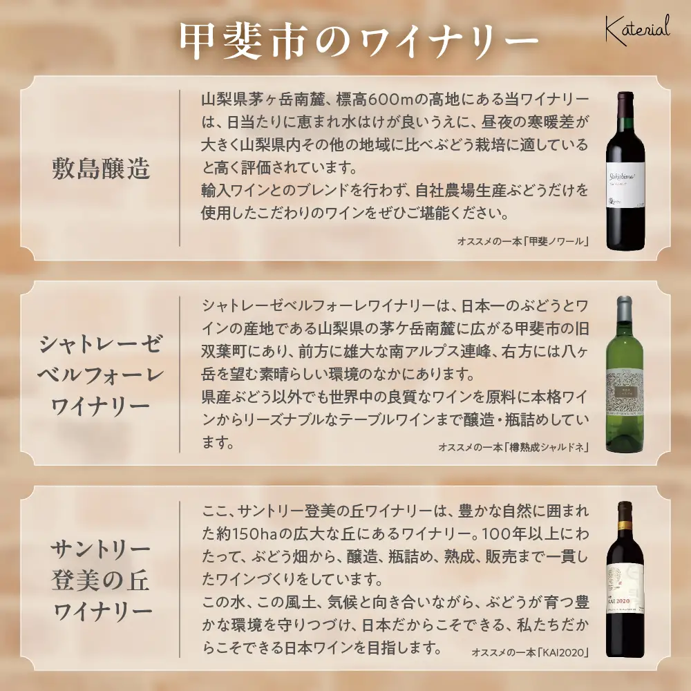 甲斐市産 赤白ワイン 12本 定期便 ワイン 山梨ワイン 山梨県 甲斐市 AD-315
