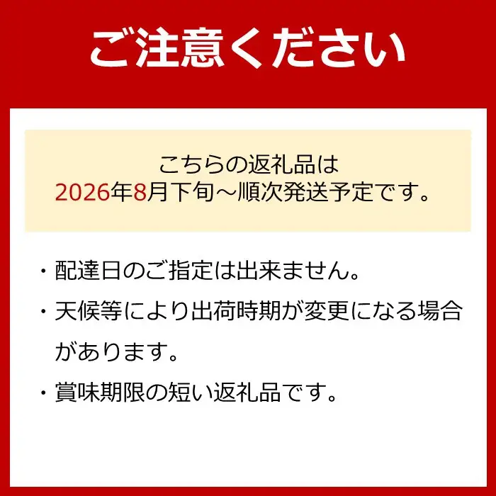 ［先行予約］和歌山 有田産 マスカットオブアレキサンドリア 約1kg 2～3房 ［2026年8月下旬より順次発送予定］
