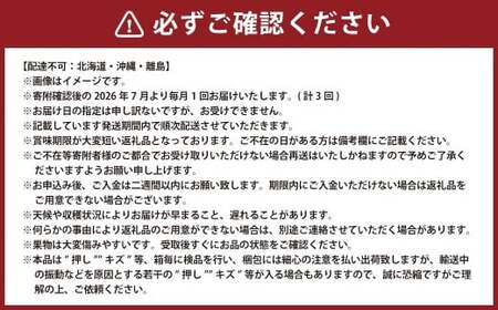 【3回定期便】 マスカットオブアレキサンドリア ニューピオーネ 晴王 【2026年7月上旬より順次発送開始】 葡萄 ブドウ ぶどう フルーツ 果物 ギフト 国産 岡山県産