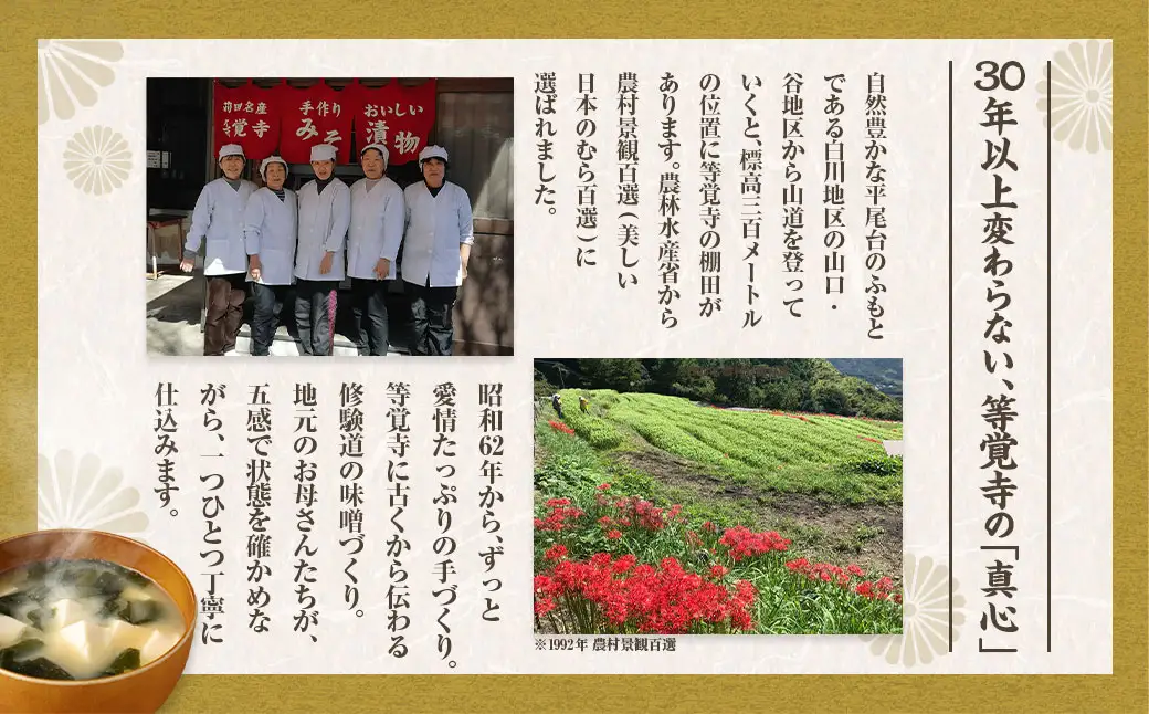 等覚寺の松会みそ 約800g 5個セット 味噌 みそ セット