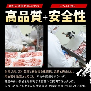 《訳あり》博多水炊きセット(10人前・2人前×5セット)福岡 水炊き みずたき セット 国産鶏 もも肉 つみれ 鶏肉 モモ肉 鶏もも肉 鍋 鍋セット お鍋 スープ付き わけあり 訳アリ 博多名物 冷凍【MEAT PLUS】as08-071