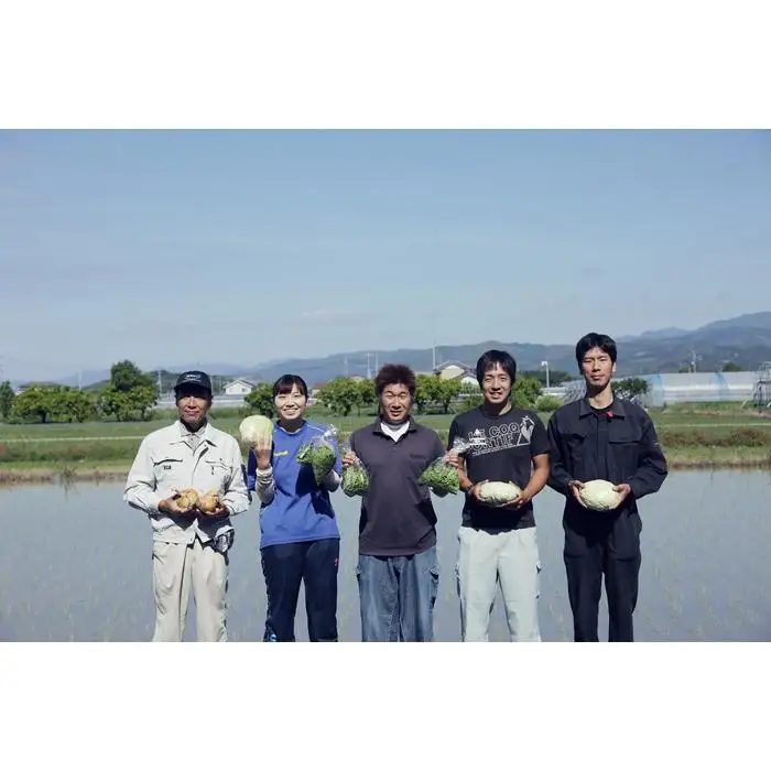 【生姜】 土佐野菜セット 無農薬生姜100g付き 6回定期便
